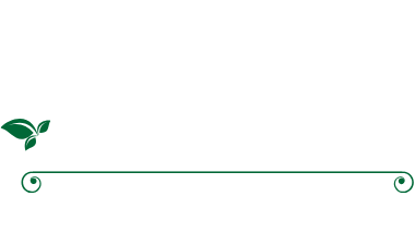 Urban nest Logo